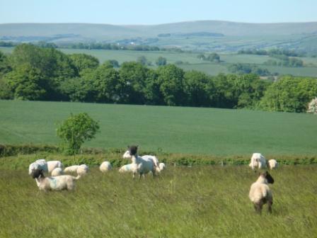 Lower Heddon, Devon